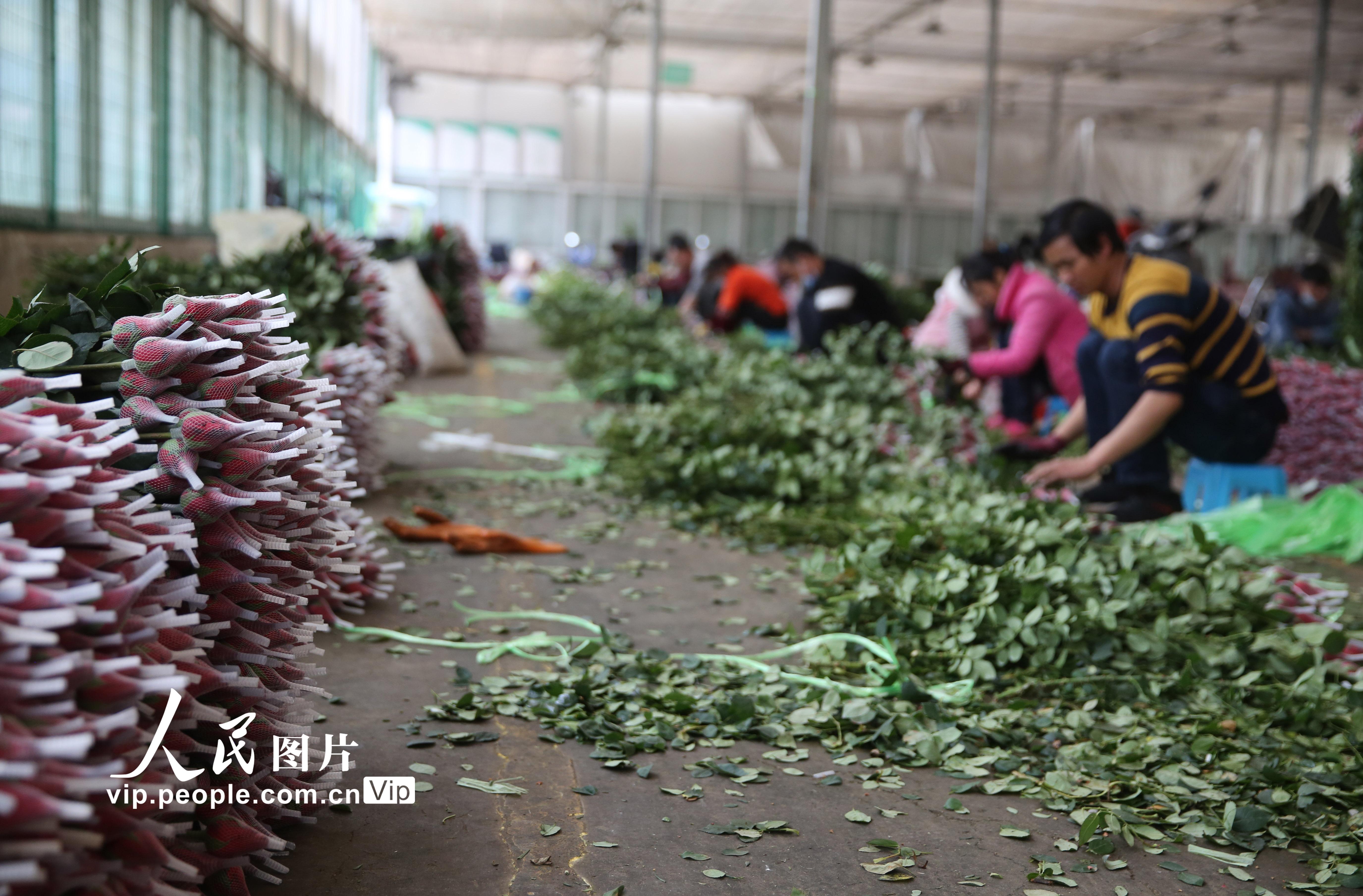 �������ʻ�Ʈ��ӭ�ѽڡ�4��