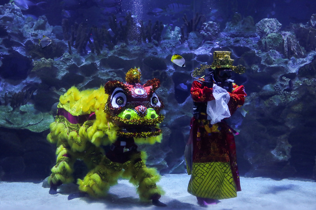 2月12日，馬來西亞吉隆坡城中城水族館的潛水員身著“財神”和“醒獅”服飾在水中表演。新華社/路透