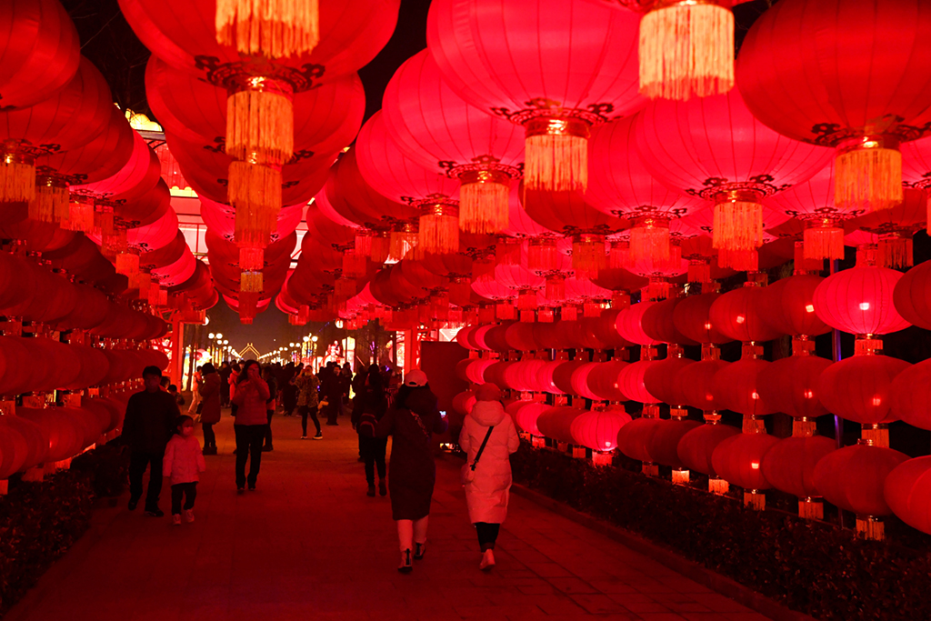 2月13日在北京南宫五洲植物乐园拍摄的红灯笼。新华社记者 任超 摄