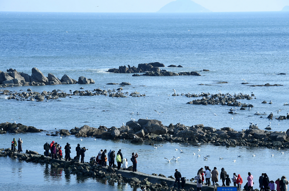 青岛:亲近大海 乐享假期