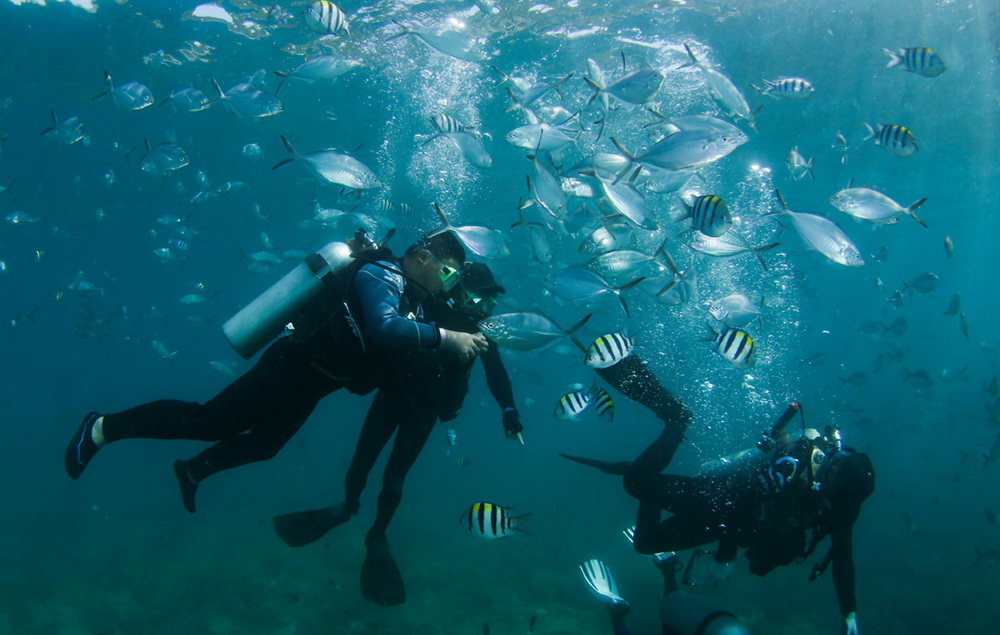 2月16日，在海南三亞蜈支洲島海域，游客在教練的指導下體驗潛水。