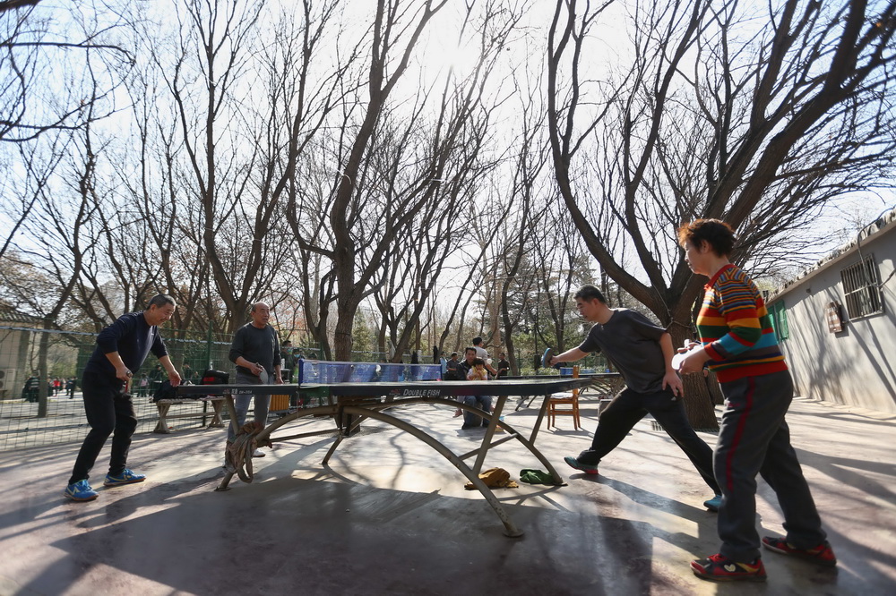 2月21日，市民在濟南百花公園打乒乓球健身。新華社發（郭志華 攝）
