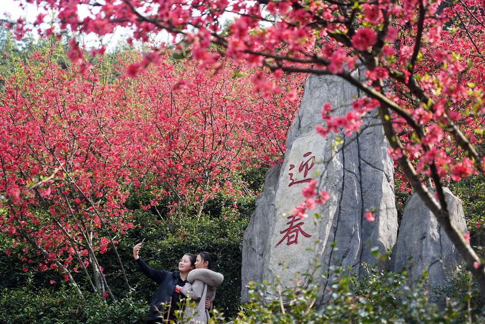 2月24日，游人在南昌市灣裡管理局太陽谷景區拍照留影。