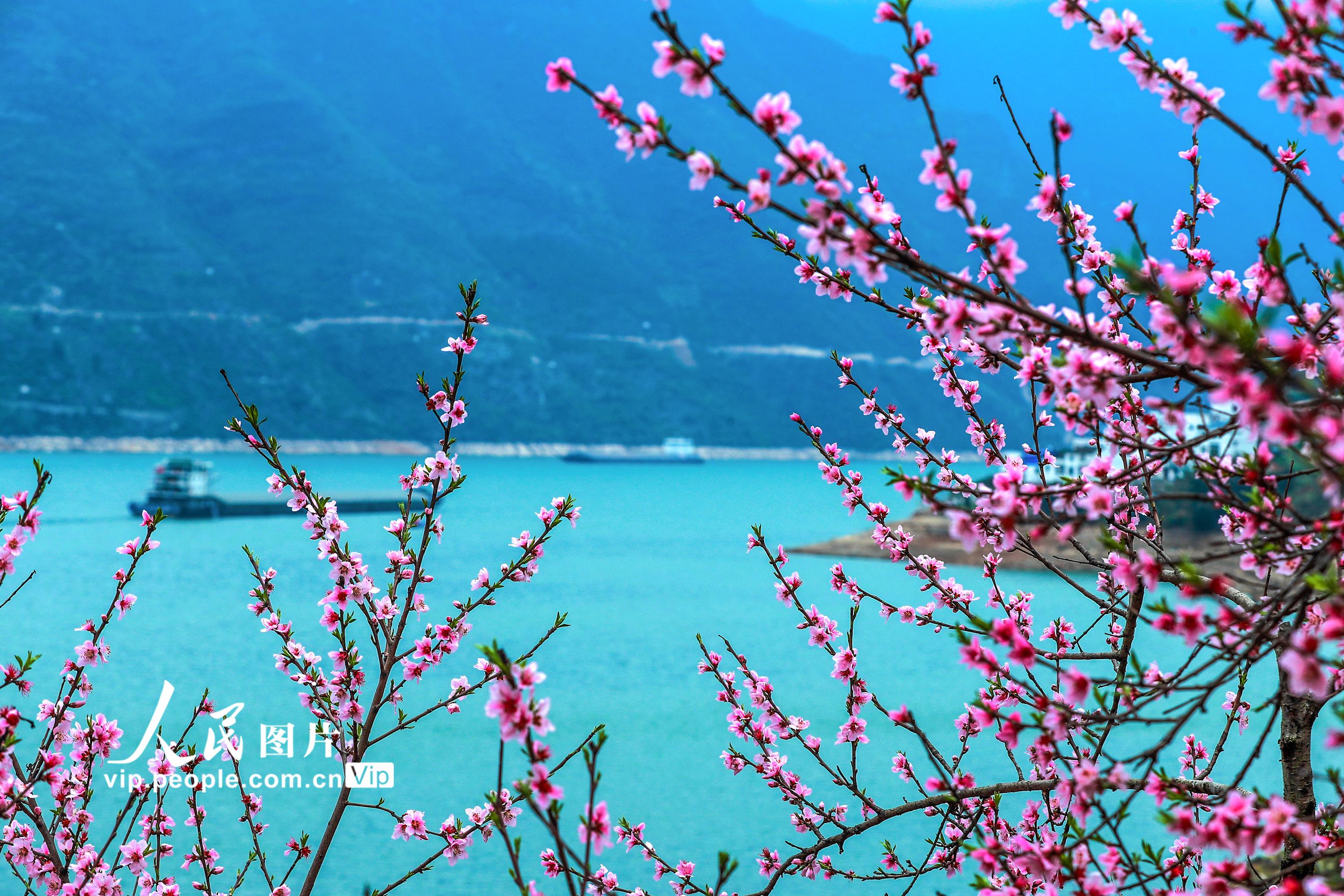 �������飺��Ͽ�һ�����6��