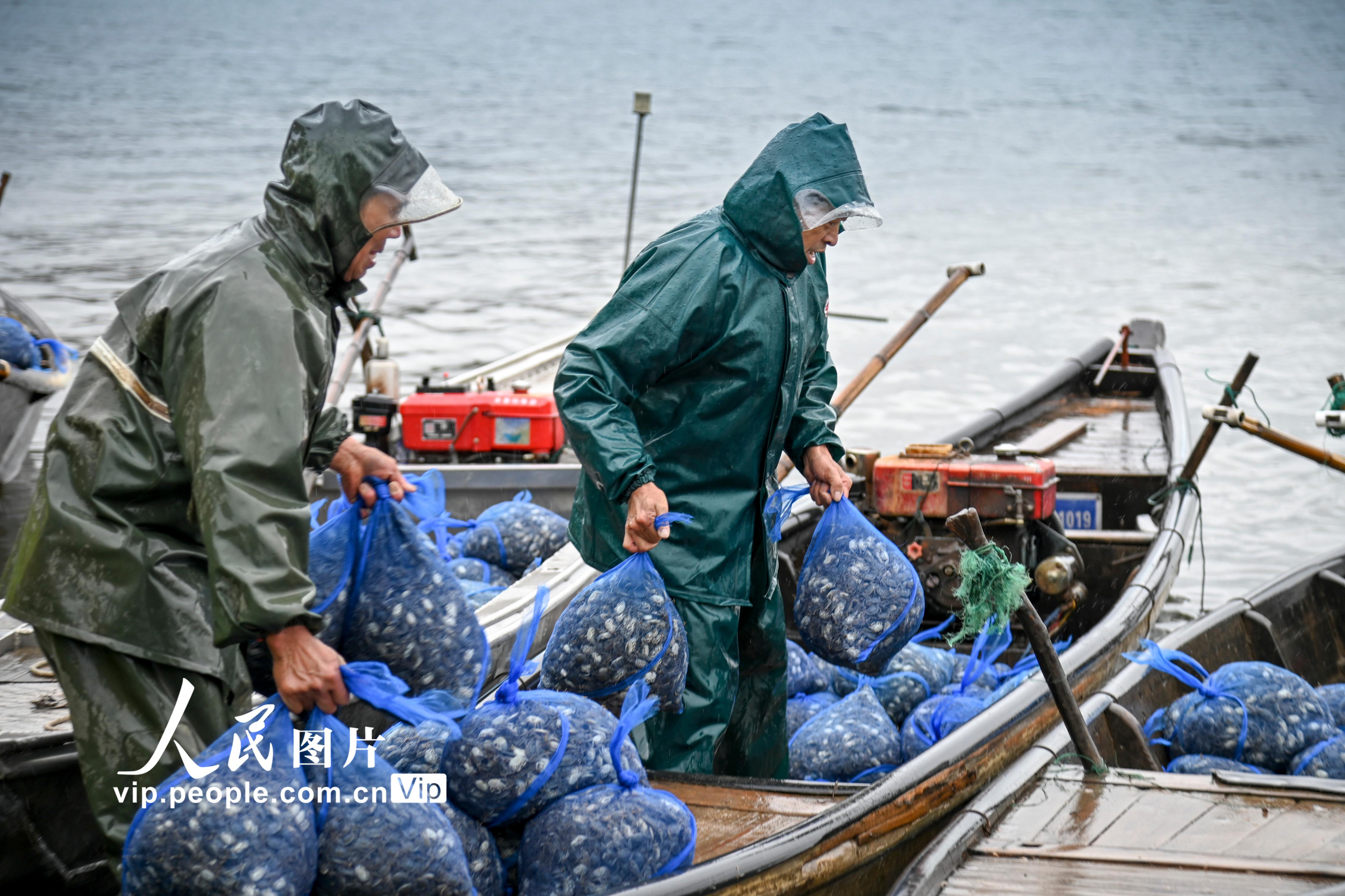 �㽭�𻪣�Ǯ������������ˮ����ֳ����66����βз�硾3��