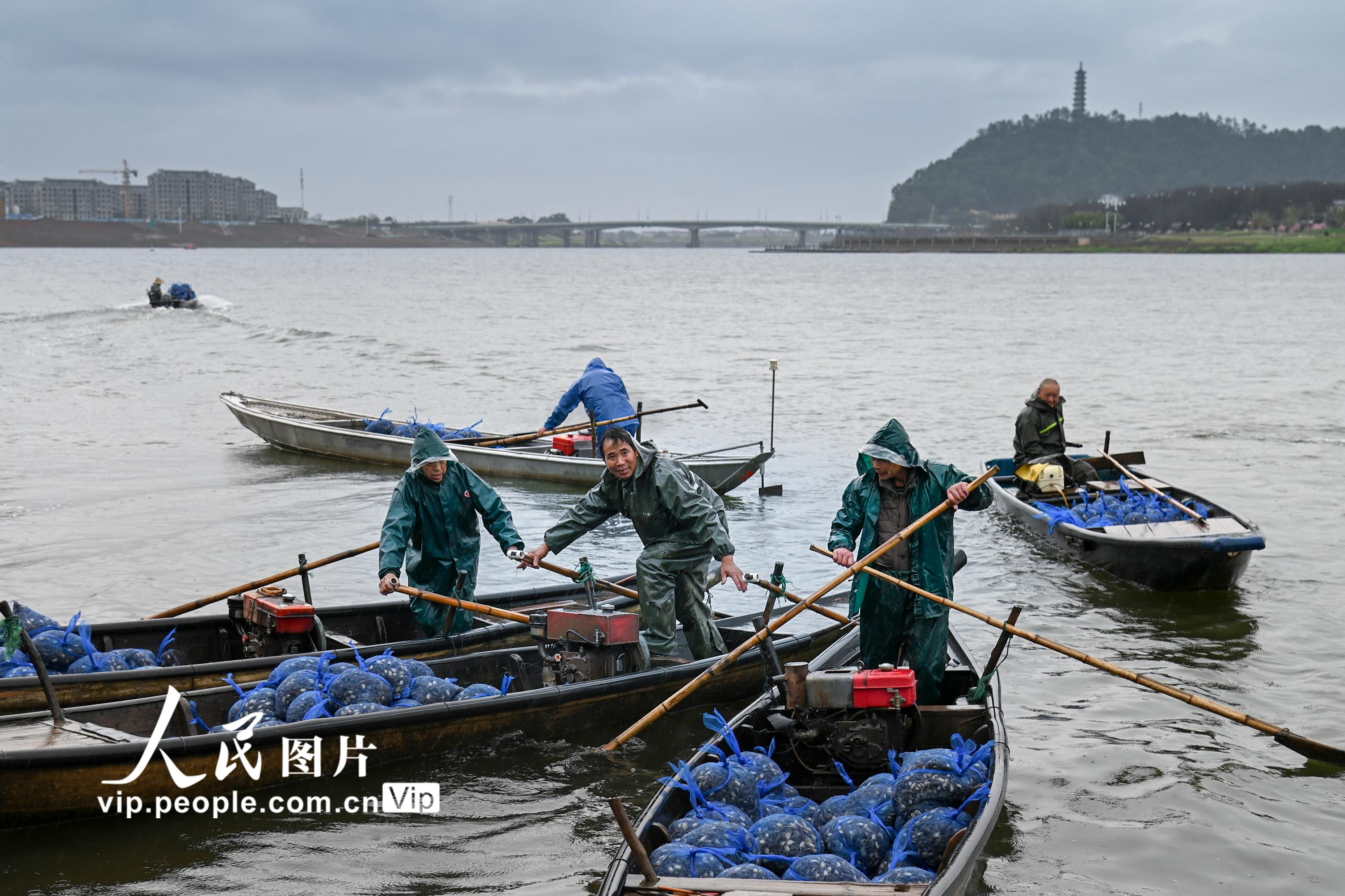 �㽭�𻪣�Ǯ������������ˮ����ֳ����66����βз�硾6��