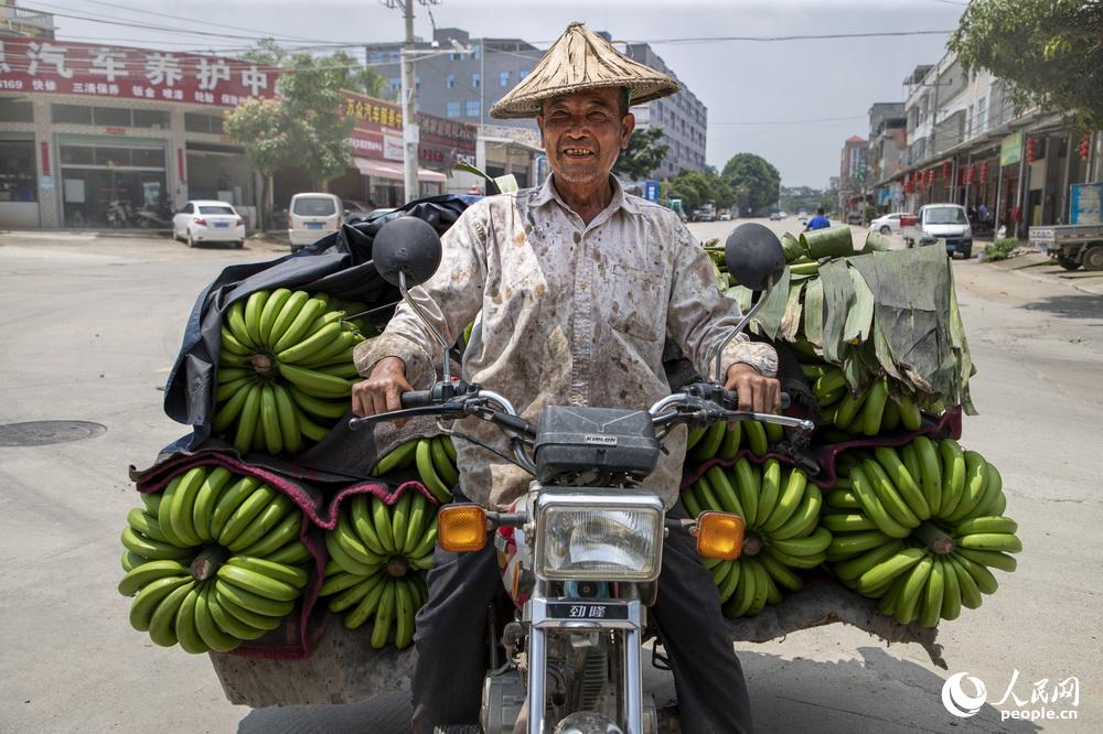 香蕉運輸途中，蕉農滿臉豐收的喜悅。陳偉2019年6月5日拍攝於福建省漳州市。