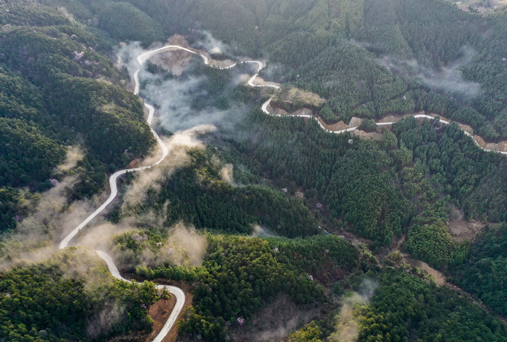這是2月28日拍攝的景寧畬族自治縣的山區公路（無人機照片）。