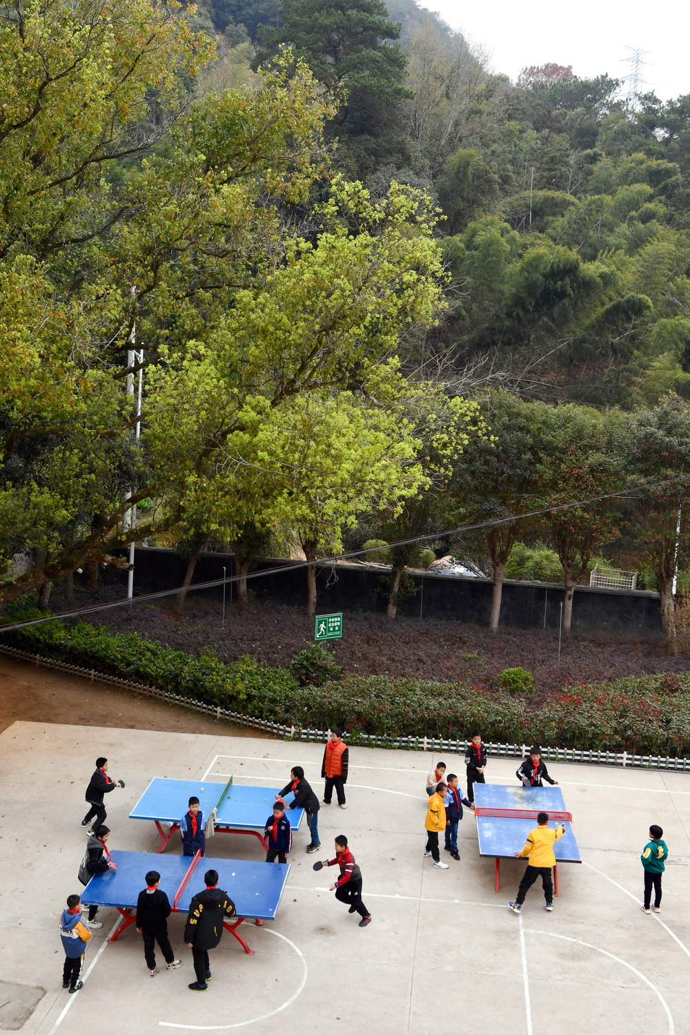 3月1日，西津畲族小学学生在课间打乒乓球。