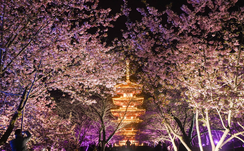 這是3月3日拍攝的武漢東湖櫻花園夜景。