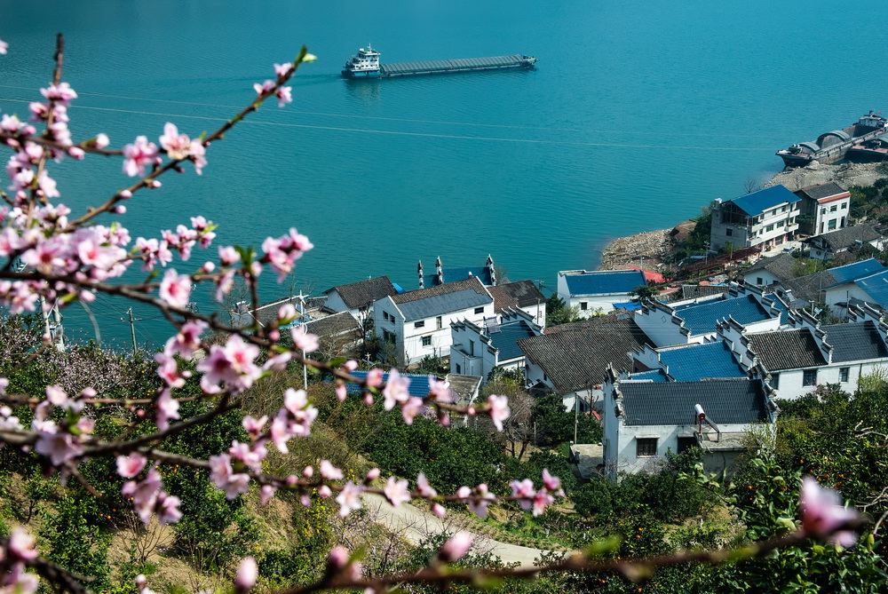3月3日，輪船行駛在長江三峽湖北省宜昌市秭歸縣水域。