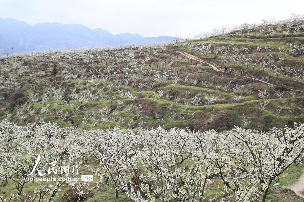 �Ĵ����ݣ���ƶ· ��������8��