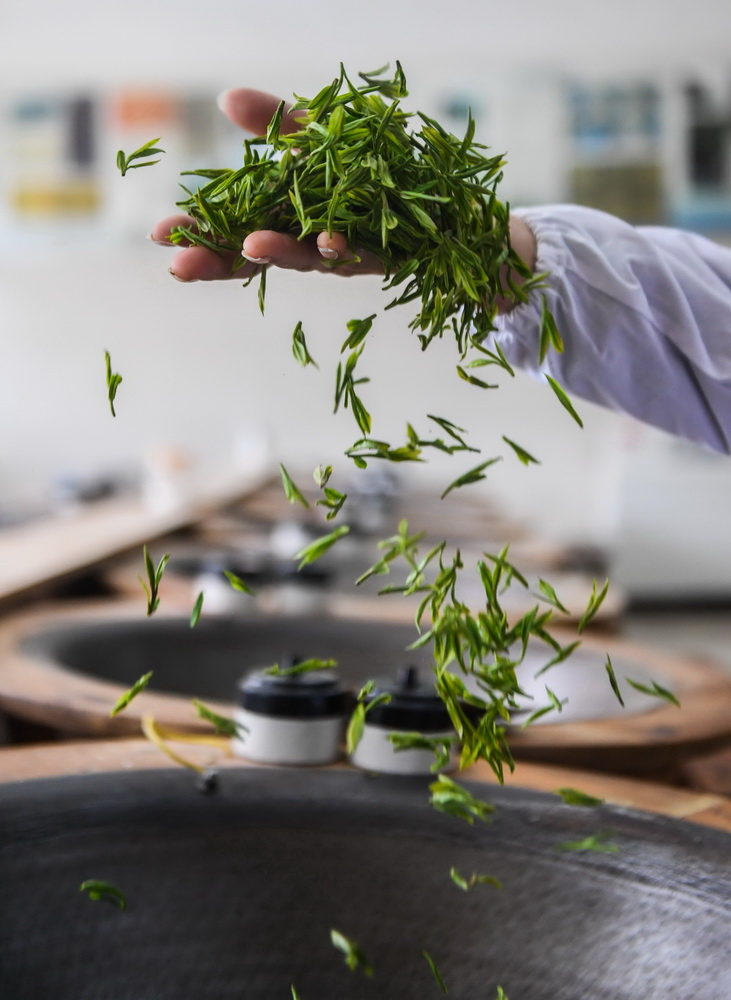 3��12�գ��ں����������羰��ʤ������¤����й���Ҷ���������¤���������ڣ���ũ���ֹ��������������衣