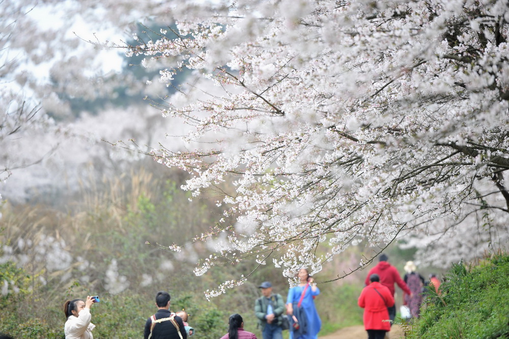 3��11�գ������ڹ���ʡ��������ӣ��԰���ͻ����档