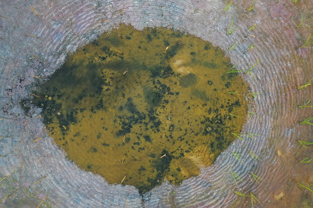 ���ǹ������ǻ���ũҵ��ѧ�������Ѿ����ֵġ�������š���������������ӷ��յ������磬���ǽ��ͼ������ֵġ��϶���š�̫�յ�����һ��������������ѡ���֣�3��29���㣬���˻���Ƭ�����»������ ����ΰ ��