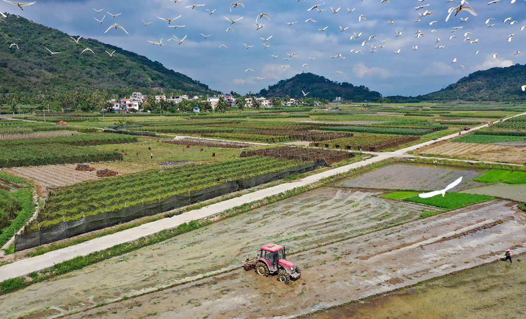 4月5日，海南省陵水黎族自治县光坡镇的农民在田间劳作（无人机照片）。新华社记者 郭程 摄