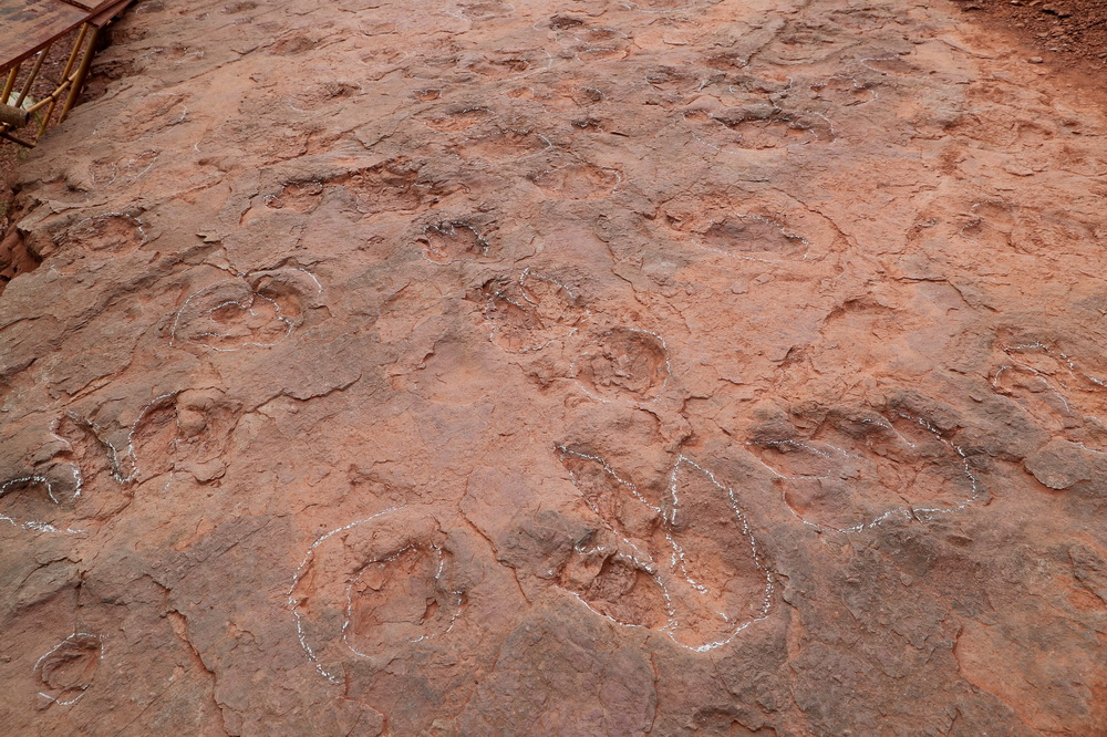 這是密集的恐龍足跡化石（4月6日攝）。新華社發（林斯乾 攝）