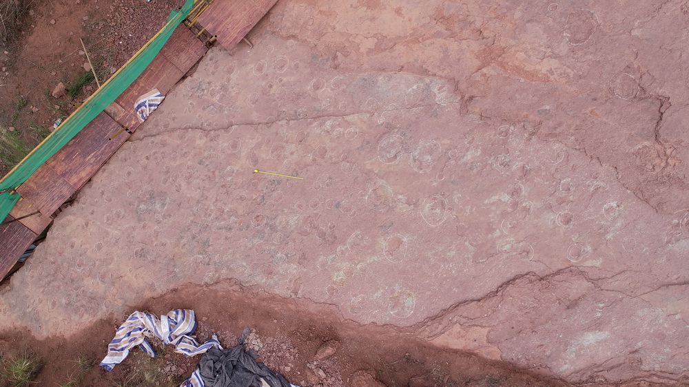 這是山坡上恐龍足跡化石剖面（4月6日攝，無人機照片）。新華社發（楊國鑫 攝）