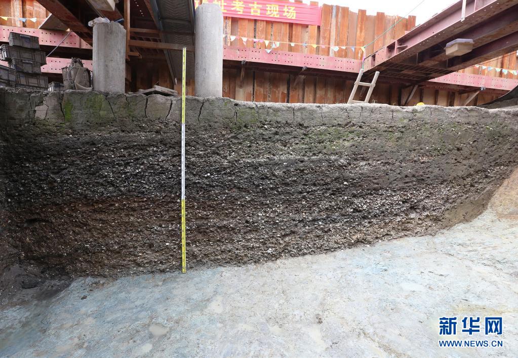 這是浙江寧波余姚井頭山遺址以貝殼為主要包含物的文化堆積（資料照片）。