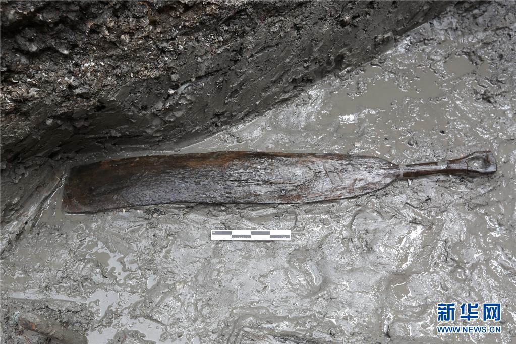這是浙江寧波余姚井頭山遺址出土的木槳（資料照片）。