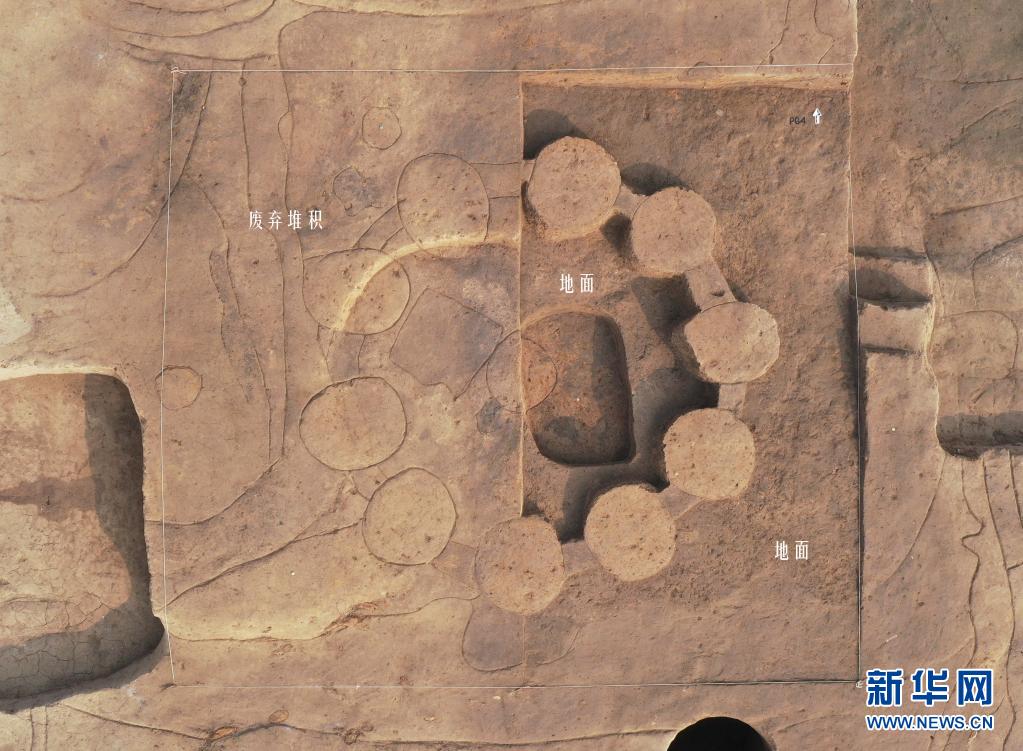 這是河南淮陽時庄遺址地上糧倉俯拍圖（上為北，東半部解剖發掘至活動面）。