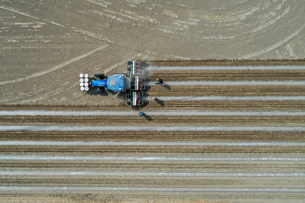 在新疆尉犁縣興平鎮通其克村的一處棉花地，鋪膜播種機在作業（4月13日攝，無人機照片）。新華社記者 丁磊 攝