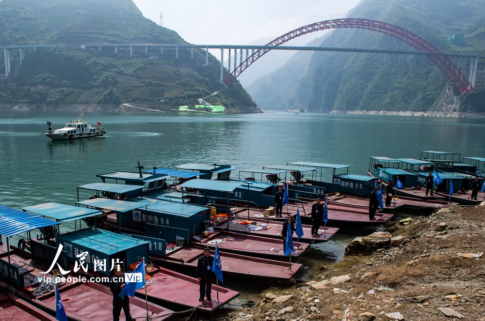 4月15日，湖北省宜昌市秭歸縣首支護漁隊隊員為巡護船舶插上隊旗。