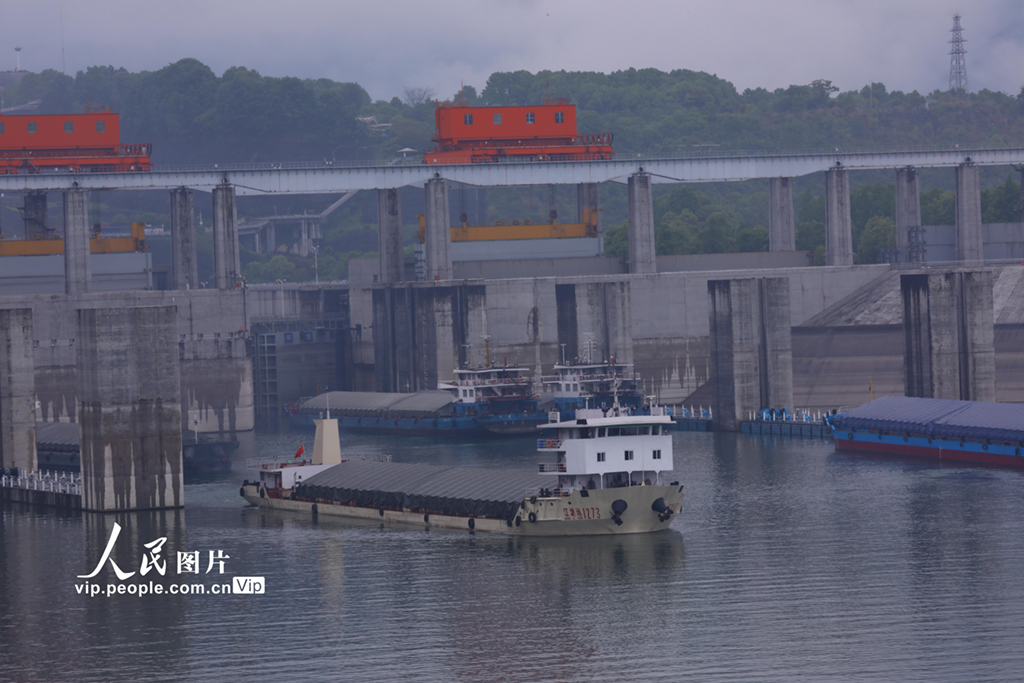 湖北宜昌三峡大坝北线船闸提前恢复通航2