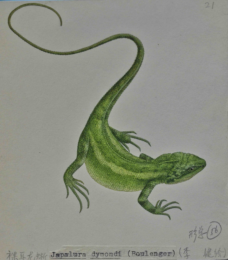 ������ֻ���Ʒ��4��14���㣩��