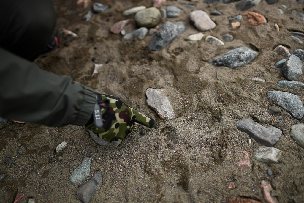 4月22日，祁連山國家公園油葫蘆管護站站長德康在巡護途中查看動物足跡。新華社記者 張宏祥 攝