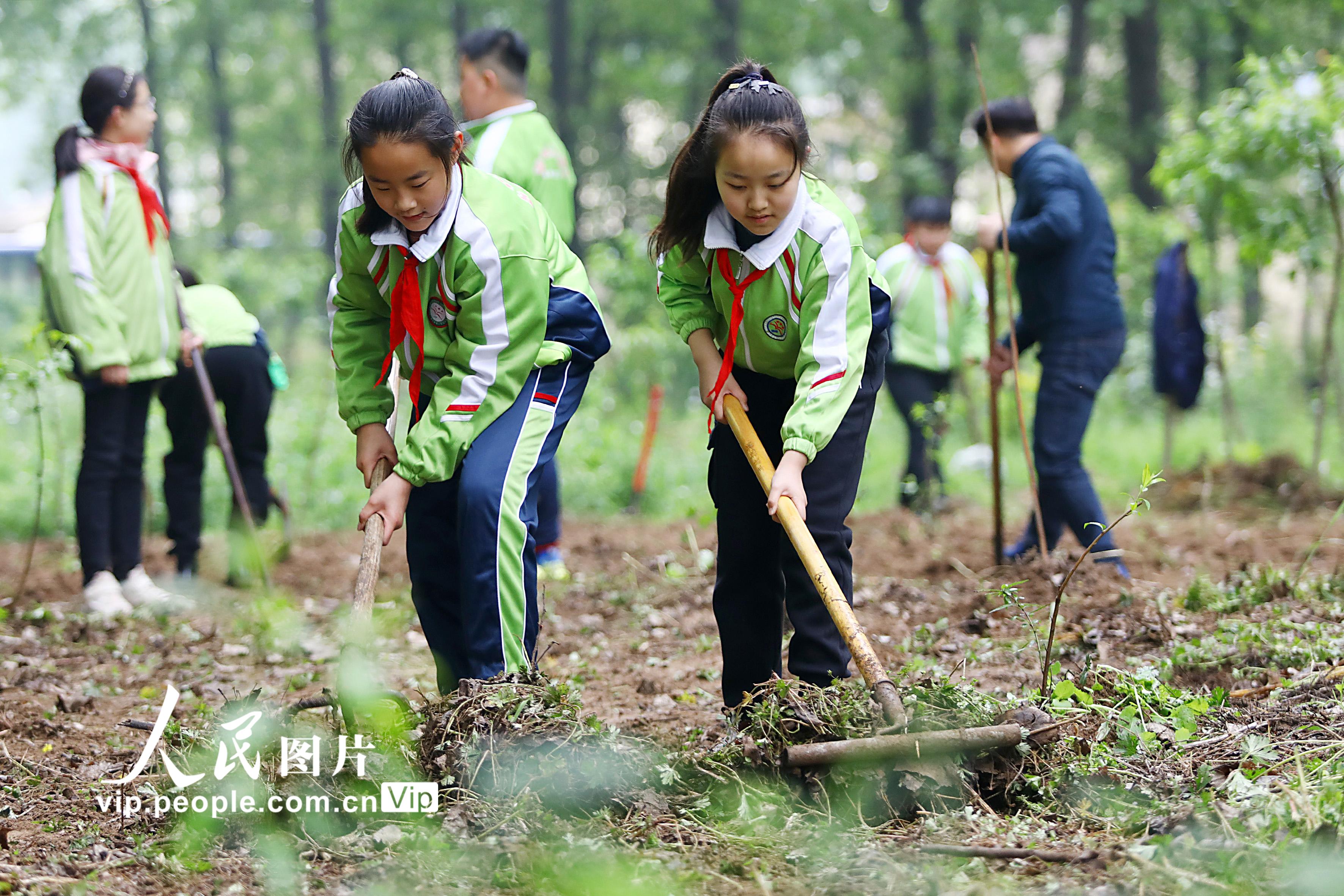 2021年4月25日，安徽省淮北市第三實驗小學的學生在田間除草。