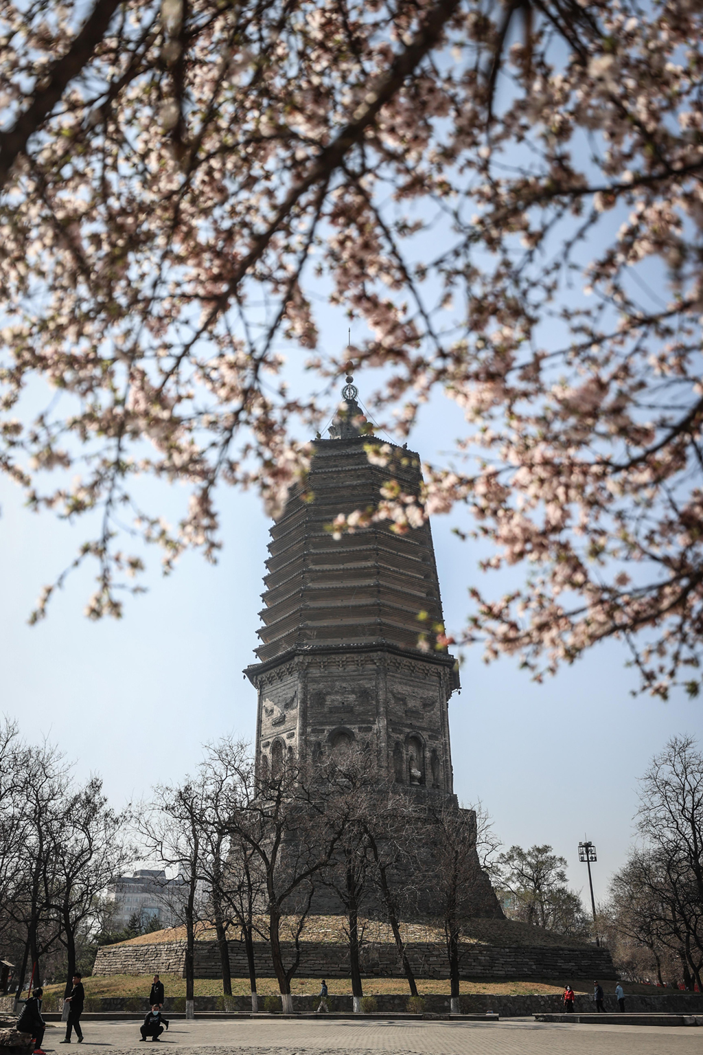 這是遼陽市白塔（4月8日攝）。新華社記者 潘昱龍 攝