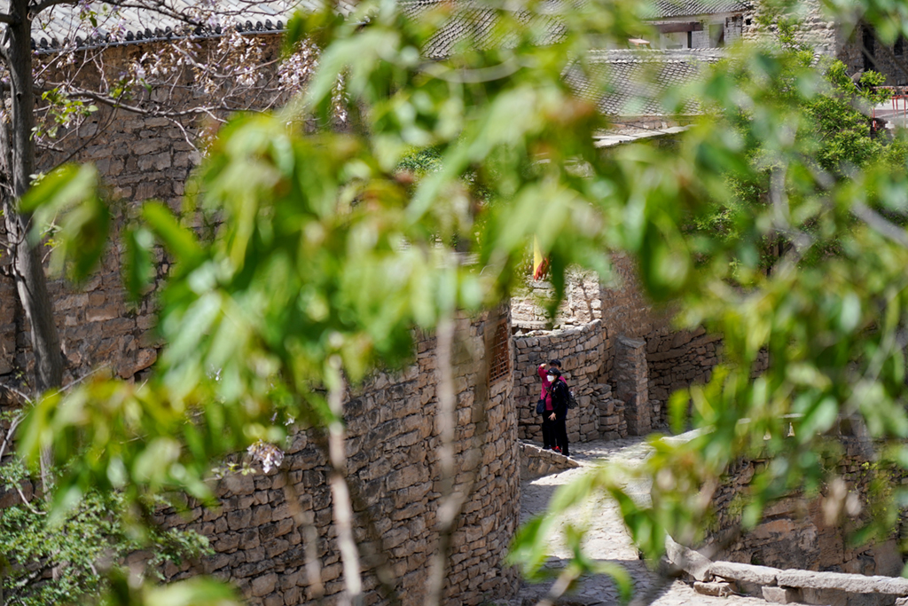 4��27�գ��ο��ڴ��ݴ��������»������ Ĳ�� ��