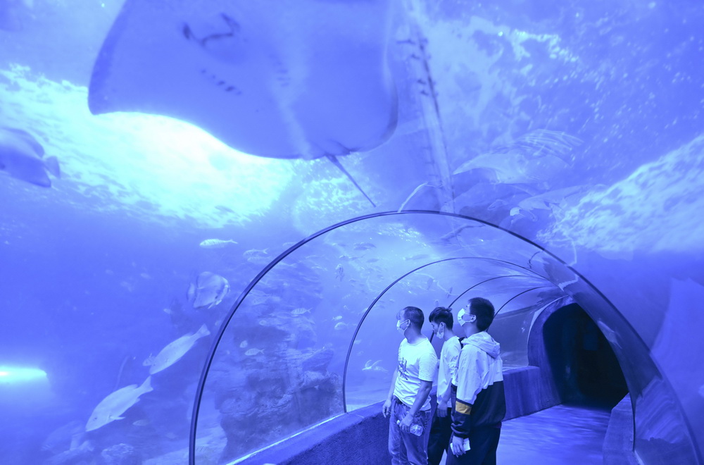 5月2日，游客在福州左海海底世界參觀。