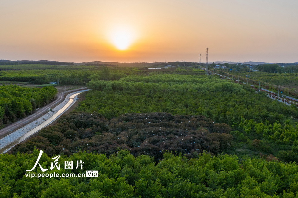 ���շʶ�������֦ͷ�衾4��