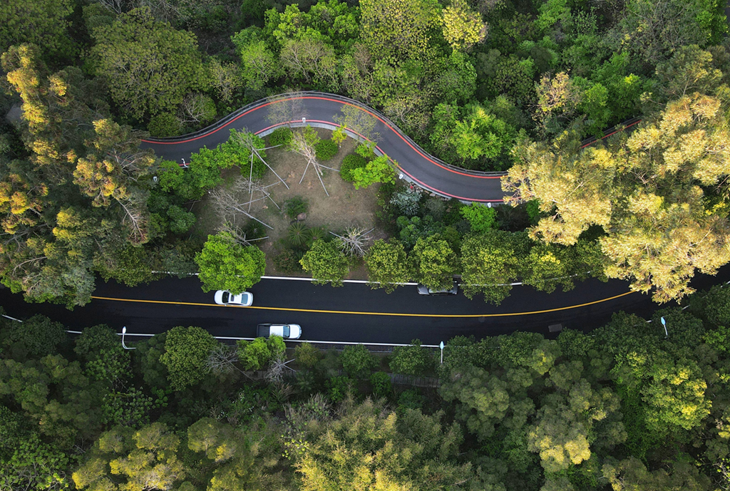 ������ɽ��Ұ��԰����������2021��3��24���㣬���˻���Ƭ�����»������ κ��ȫ ��