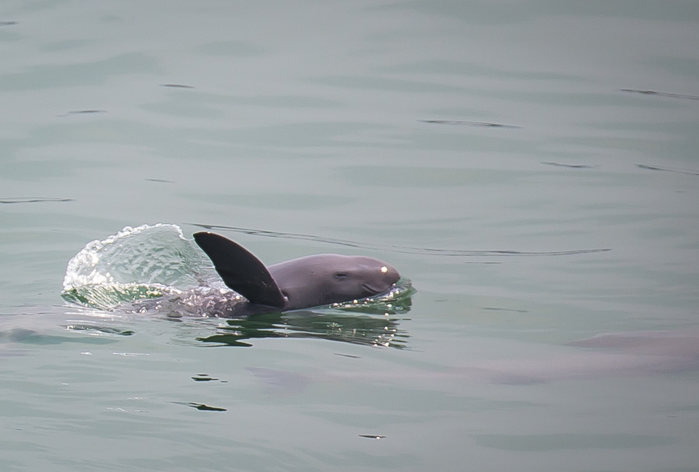 5��11�գ��ں���ʡ�˲��н��ߣ�����������ˮ����Ϸ��