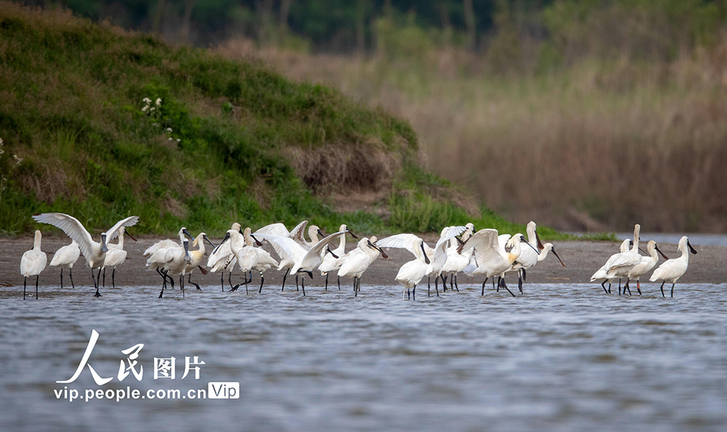 ���ն�̨��������ʪ�ط��ִ��ģ����������Ⱥ��3��