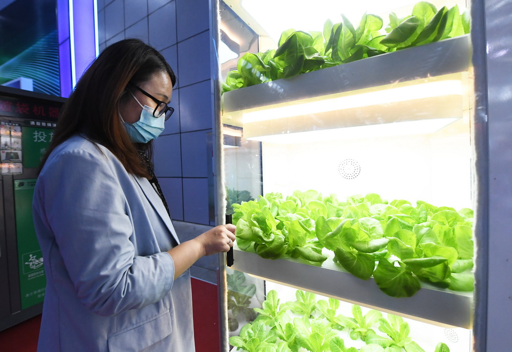 5月24日在北京科技周活动主场室内主题展区拍摄的智能化绿色蔬菜种植柜。