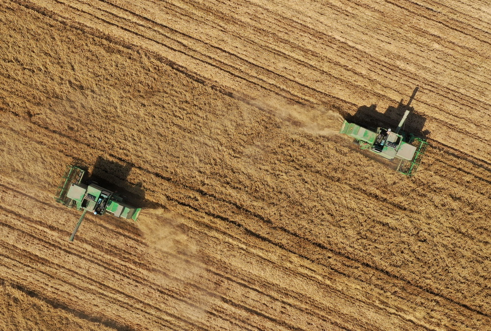 6月6日，在河南省周口市黃泛區農場九分場的麥田裡，農機手操作收割機收獲小麥（無人機照片）。新華社記者 李嘉南 攝