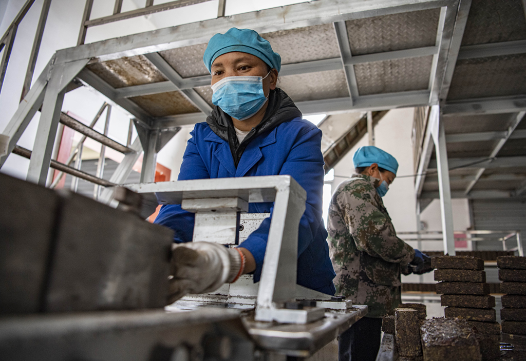 一抹茗香沁民心——跨越千年的茶叶天路之旅