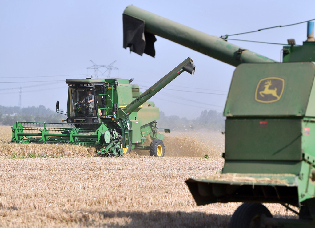 在河南省黃泛區農場九分場的麥田裡，農機手操作收割機收獲小麥（6月6日攝）。新華社記者 李嘉南 攝