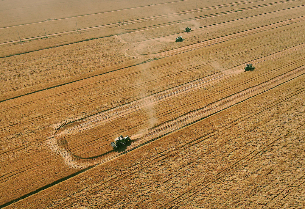 在河南省黃泛區農場九分場的麥田裡，農機手操作收割機收獲小麥（無人機照片，6月6日攝）。新華社記者 李安 攝