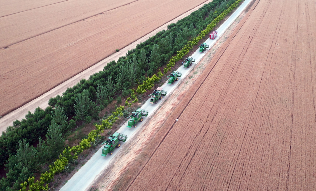 在河南省黃泛區農場九分場，農機隊伍准備進入麥田作業（無人機照片，2020年6月2日攝）。新華社記者 李嘉南 攝