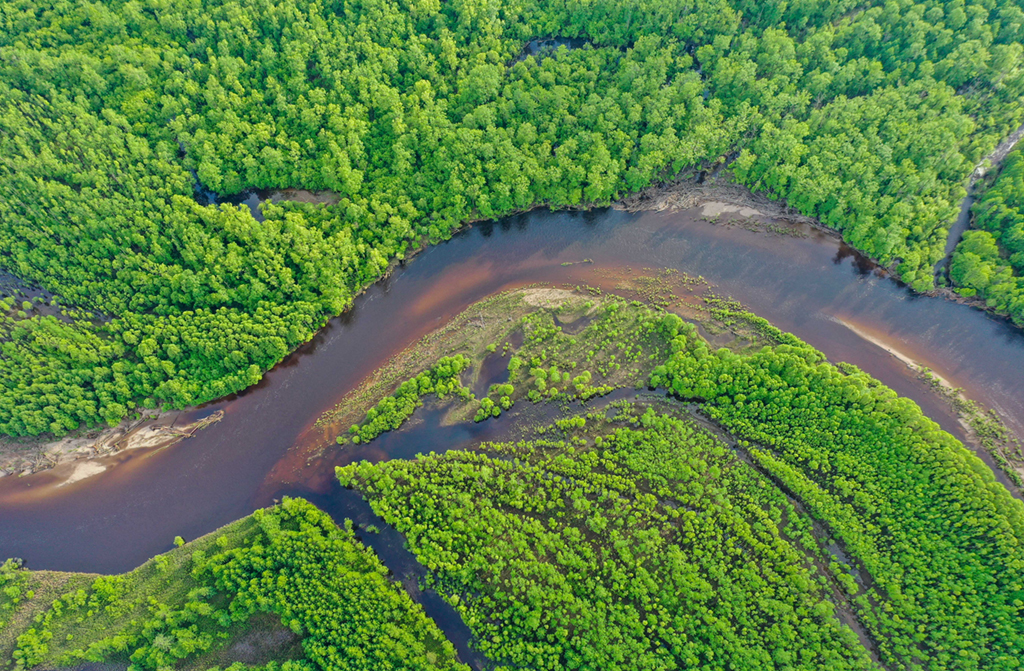 內蒙古根河源國家濕地公園拍攝的景象（無人機照片，6月8日攝）。