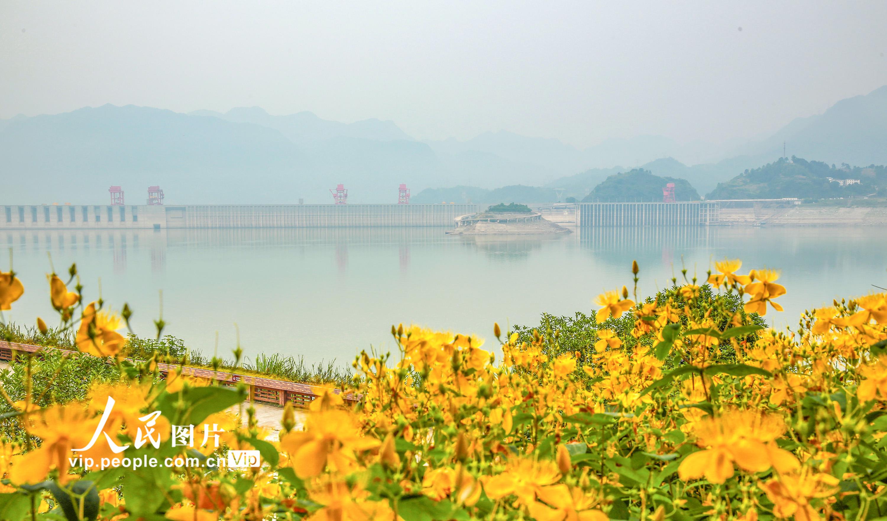 湖北宜昌：三峽水庫完成2021年水位消落任務【5】