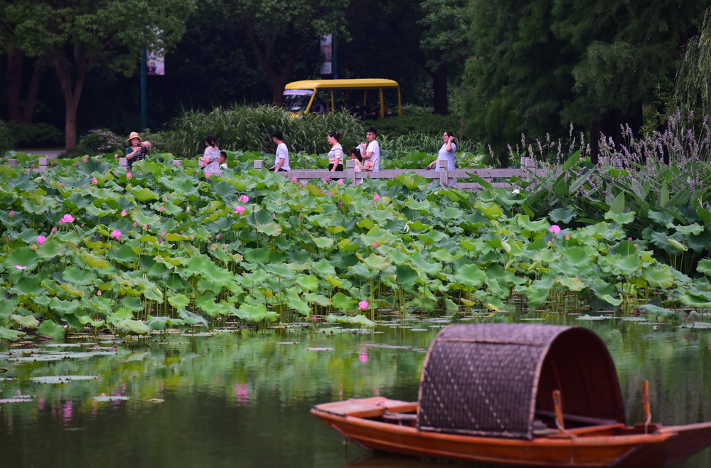 6月14日，游客在江蘇無錫太湖黿頭渚風景區游玩。新華社發（還月亮 攝）