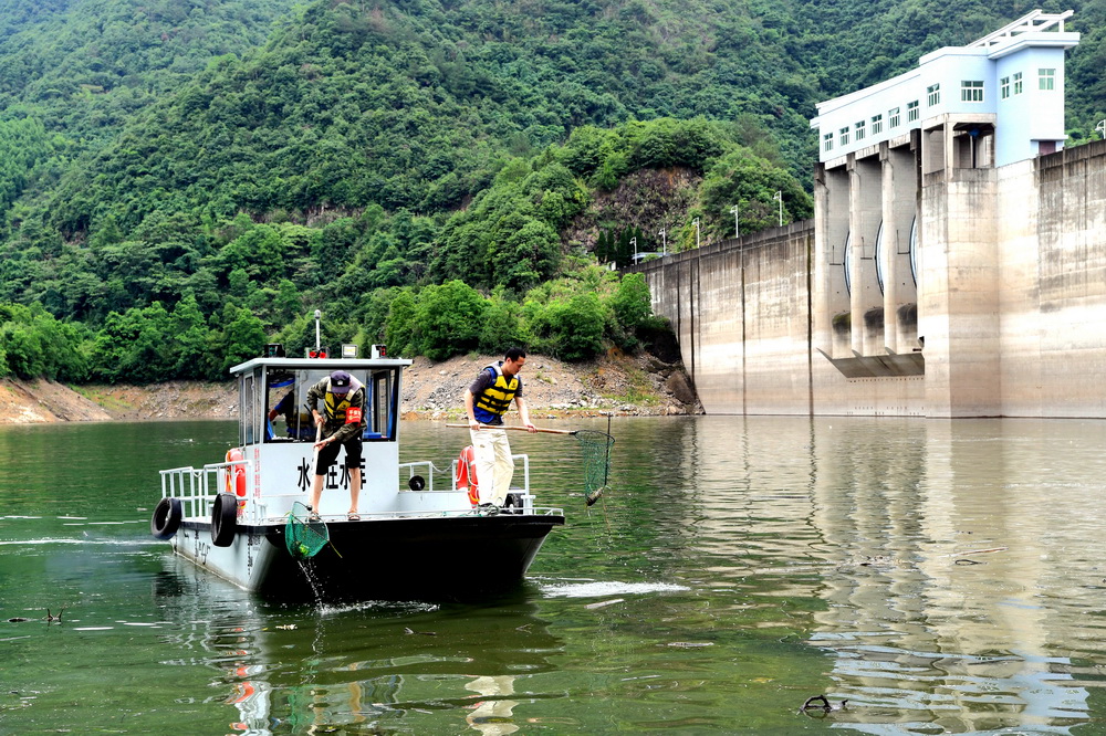 6月15日，工作人員在臨安區高虹鎮水濤庄水庫打撈水面漂浮物。