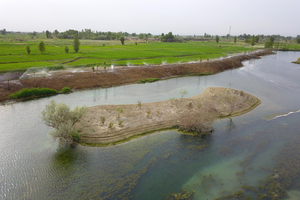 這是6月10日在臨澤縣拍攝的水系連通項目中打通的九眼泉河水系（無人機照片）。
