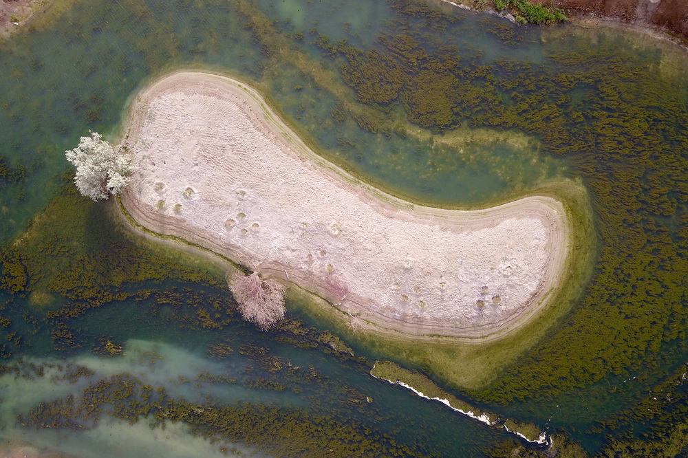 這是6月10日在臨澤縣拍攝的水系連通項目中打通的九眼泉河水系（無人機照片）。